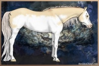 Horse Color:Silver Classic Champagne Dun Splash Frame 
