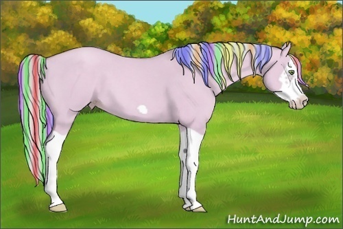 Horse Color:Painted Watercolor Silver Classic Champagne Dun Splash Frame 