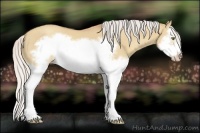 Horse Color:Silver Classic Champagne Dun Splash Frame