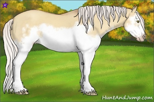 Horse Color:Silver Classic Champagne Dun Splash Frame