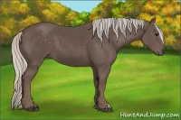 Horse Color:Silver Black 