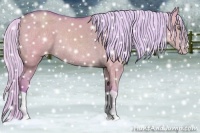 Horse Color:Watercolor Silver Classic Champagne Dun Splash 