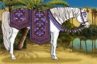 Horse Color:Silver Classic Champagne Dun Splash Frame