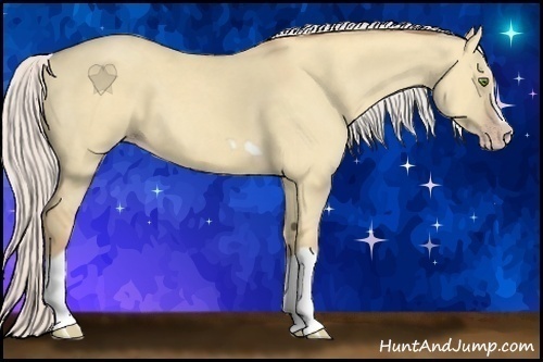 Horse Color:Silver Classic Champagne Dun Splash Frame 