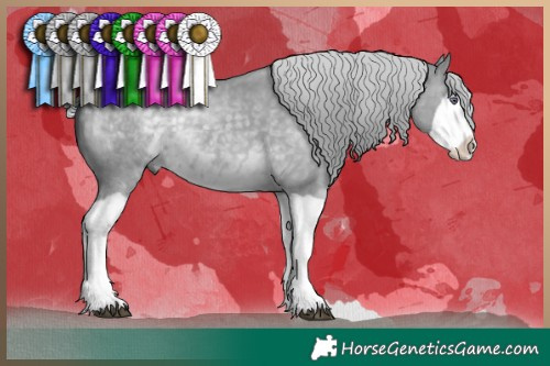 Horse Color:Silver Grullo Chinchilla Splash 