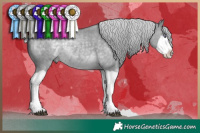 Horse Color:Silver Grullo Chinchilla Splash 