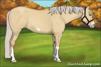 Horse Color:Silver Classic Champagne Dun Splash Frame 