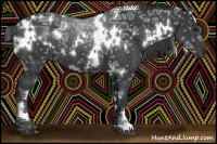 Horse Color:White Spotted Black Ice 