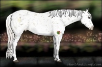 Horse Color:White Spotted Silver Brown Roan Snowflake Varnish