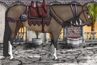 Horse Color:Brown Dun