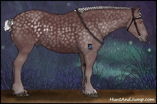 Horse Color:Chocolate Silver Black Chinchilla Rabicano