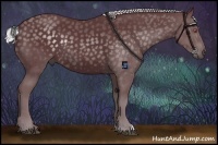 Horse Color:Chocolate Silver Black Chinchilla Rabicano 