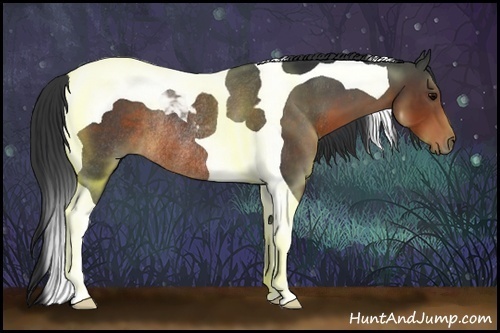 Horse Color:Brown Tobiano Rabicano 