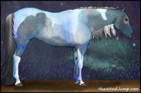 Horse Color:Blue Roan Tobiano