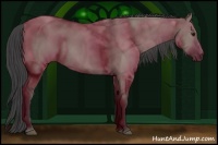 Horse Color:Smoky Grullo