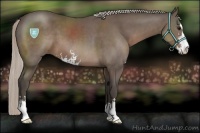 Horse Color:Silver Black Sabino 