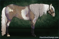 Horse Color:White Spotted Silver Buckskin Pearl Dun and Silver Bay Dun