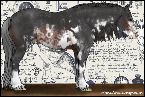 Horse Color:Brown Sabino Rabicano  and Brown Sabino Rabicano 