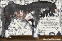 Horse Color:Brown Sabino Rabicano and Brown Sabino Rabicano