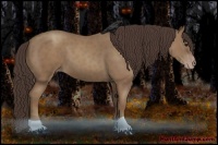 Horse Color:Classic Champagne 