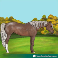 Horse Color:Silver Black 