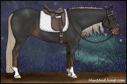Horse Color:Liver Chestnut