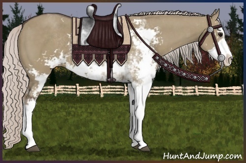 Horse Color:Silver Grullo Sabino 