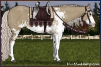 Horse Color:Silver Grullo Sabino 