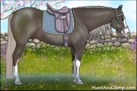 Horse Color:Silver Black Sabino