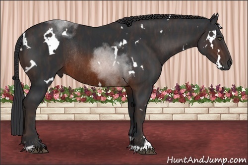 Horse Color:White Spotted Brown Sabino Rabicano  Brindle