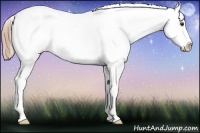 Horse Color:Liver Chestnut Sabino Near Fewspot 