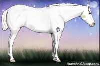 Horse Color:Silver Smoky Black Sabino Splash Appaloosa