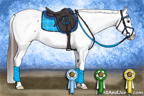 Horse Color:Bay Sabino Appaloosa 