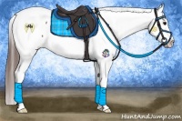 Horse Color:Bay Sabino Appaloosa