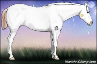 Horse Color:Buckskin Snowflake Varnish