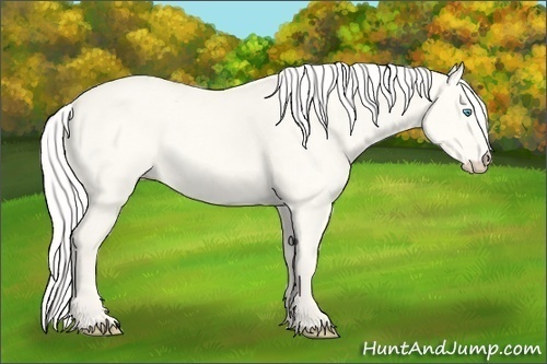 Horse Color:Silver Perlino Dun 