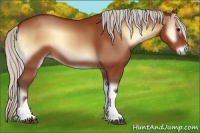 Horse Color:Silver Bay Onyx