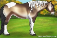 Horse Color:Brown Onyx Tobiano