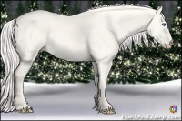 Horse Color:Cremello Dun 