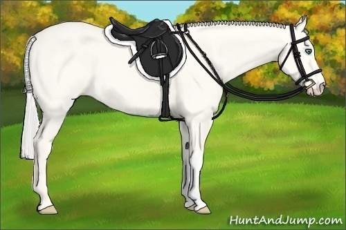 Horse Color:Silver Perlino Dun