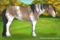 Horse Color:White Spotted Sable Champagne 