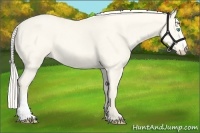 Horse Color:Cremello Dun 