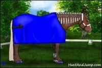 Horse Color:Silver Bay Sabino Rabicano 