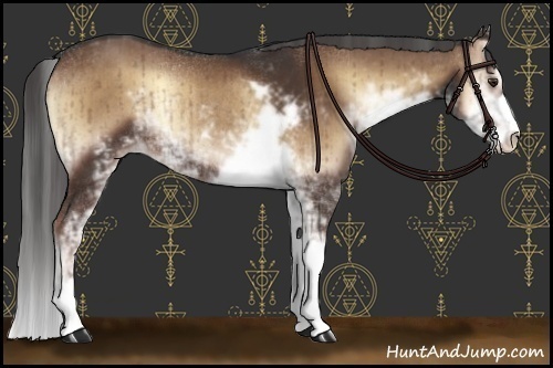 Horse Color:Liver Red Onyx Sabino Rabicano Brindle