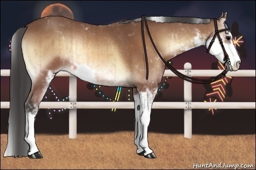 Horse Color:Buckskin Onyx Sabino Rabicano Brindle