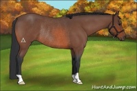 Horse Color:Bay Roan Rabicano