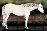 Horse Color:Chocolate Palomino Ice Pearl Dun Splash