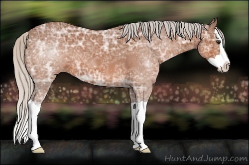 Horse Color:Silver Bay Ice Splash 