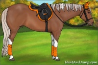 Horse Color:Chocolate Silver Brown Tobiano 