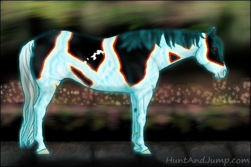 Horse Color:Thunderstruck Plaid  Liver Chestnut Appaloosa 